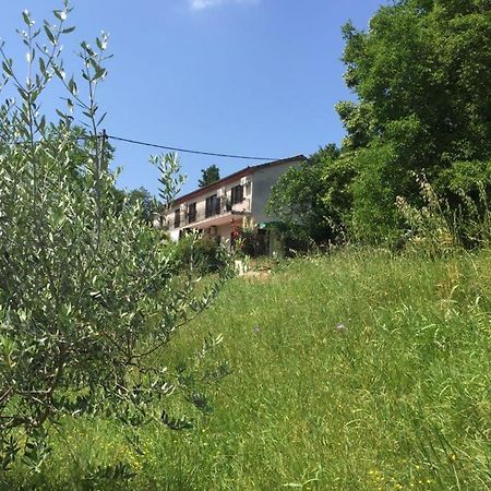 Apartment Cimbora, Salara Farmhouse Копер Екстериор снимка