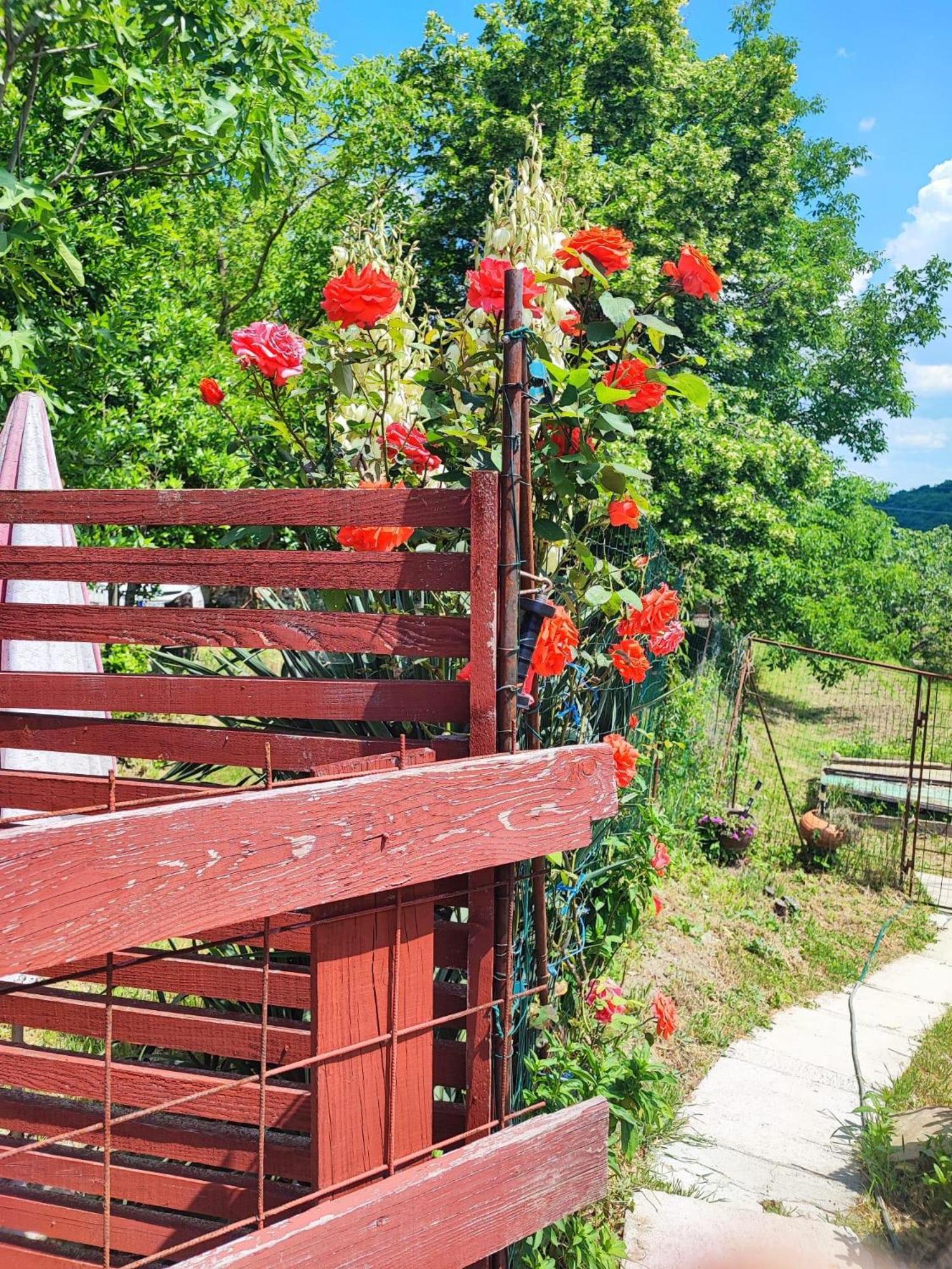 Apartment Cimbora, Salara Farmhouse Копер Екстериор снимка
